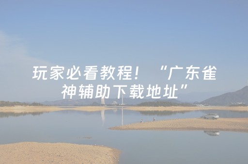 玩家必看教程！“广东雀神辅助下载地址”（详细辅助教程）-哔哩哔哩