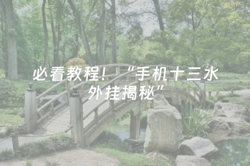 必看教程！“手机十三水外挂揭秘”（详细透视教程）-哔哩哔哩