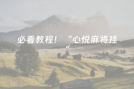 必看教程！“心悦麻将挂”（详细辅助教程）-哔哩哔哩