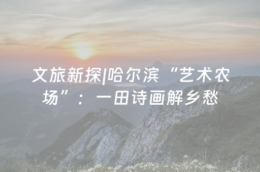 文旅新探|哈尔滨“艺术农场”：一田诗画解乡愁