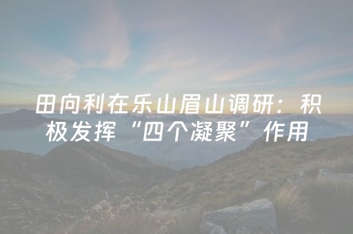 田向利在乐山眉山调研：积极发挥“四个凝聚”作用，助力省委十二届七次全会精神落地落实