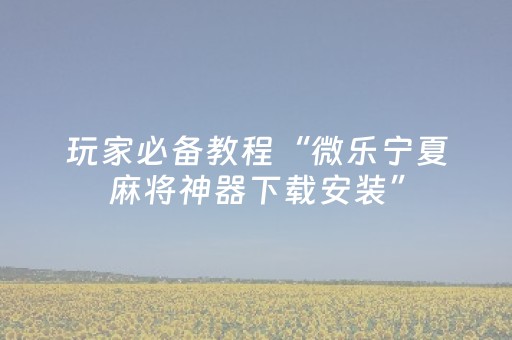 玩家必备教程“微乐宁夏麻将神器下载安装”（详细透视教程）-哔哩哔哩
