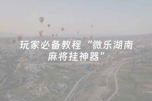 玩家必备教程“微乐湖南麻将挂神器”（详细透视教程）-哔哩哔哩