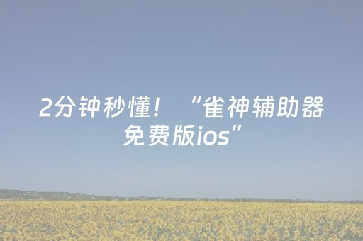 2分钟秒懂！“雀神辅助器免费版ios”（详细辅助教程）-哔哩哔哩