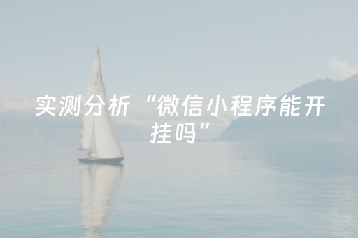 实测分析“微信小程序能开挂吗”（详细开挂教程）-哔哩哔哩