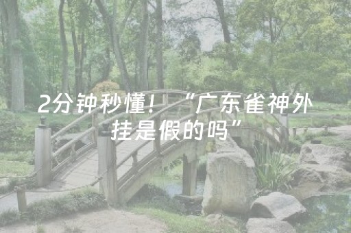2分钟秒懂！“广东雀神外挂是假的吗”（详细开挂教程）-哔哩哔哩