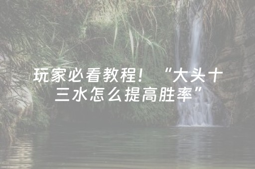 玩家必看教程！“大头十三水怎么提高胜率”（详细辅助教程）-哔哩哔哩