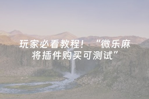 玩家必看教程！“微乐麻将插件购买可测试”（详细开挂教程）-哔哩哔哩