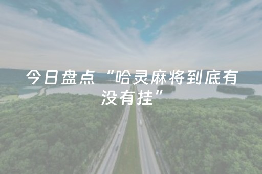 今日盘点“哈灵麻将到底有没有挂”（详细透视教程）-哔哩哔哩