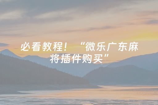 必看教程！“微乐广东麻将插件购买”（详细辅助教程）-哔哩哔哩