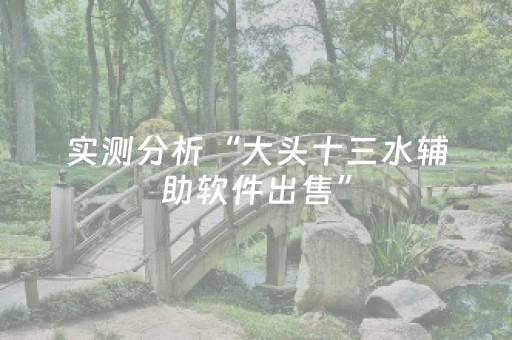 实测分析“大头十三水辅助软件出售”（详细开挂教程）-哔哩哔哩