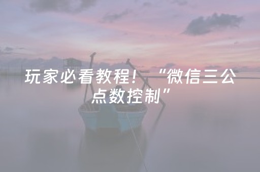 玩家必看教程！“微信三公点数控制”（详细开挂教程）-哔哩哔哩