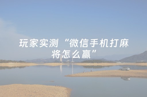 玩家实测“微信手机打麻将怎么赢”（详细透视教程）-哔哩哔哩