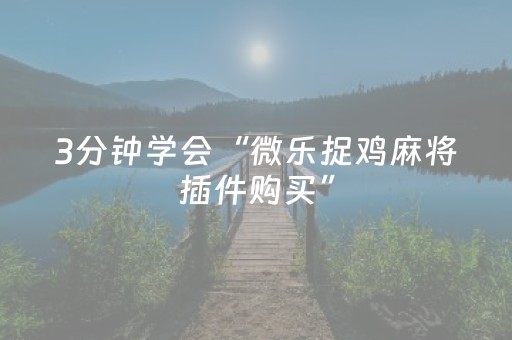 3分钟学会“微乐捉鸡麻将插件购买”（详细透视教程）-哔哩哔哩