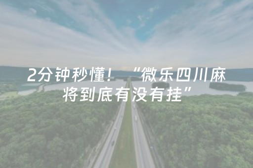 2分钟秒懂！“微乐四川麻将到底有没有挂”（详细透视教程）-哔哩哔哩