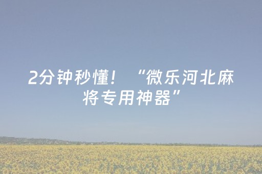 2分钟秒懂！“微乐河北麻将专用神器”（详细开挂教程）-哔哩哔哩