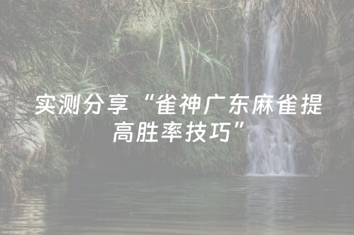 实测分享“雀神广东麻雀提高胜率技巧”（详细透视教程）-哔哩哔哩