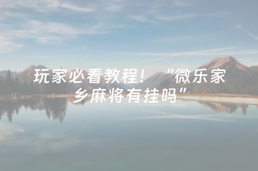 玩家必看教程！“微乐家乡麻将有挂吗”（详细透视教程）-哔哩哔哩