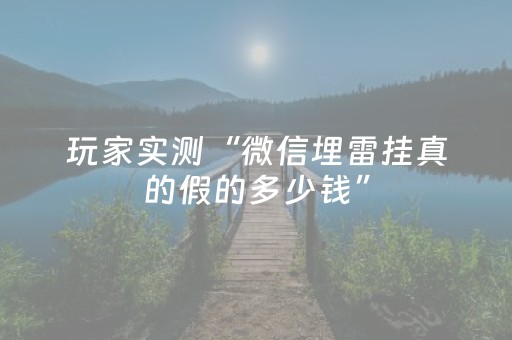 玩家实测“微信埋雷挂真的假的多少钱”（详细透视教程）-哔哩哔哩