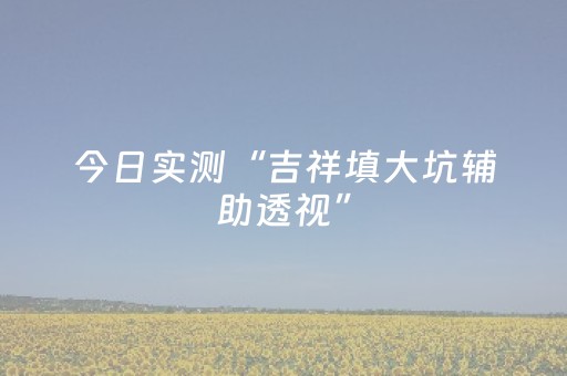 今日实测“吉祥填大坑辅助透视”（详细透视教程）-哔哩哔哩
