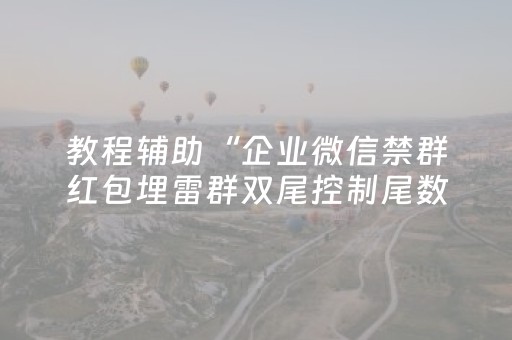 教程辅助“企业微信禁群红包埋雷群双尾控制尾数辅助软件”（详细透视教程）-哔哩哔哩