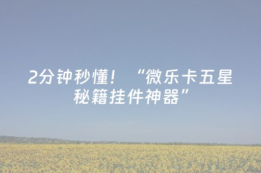 2分钟秒懂！“微乐卡五星秘籍挂件神器”（详细开挂教程）-哔哩哔哩