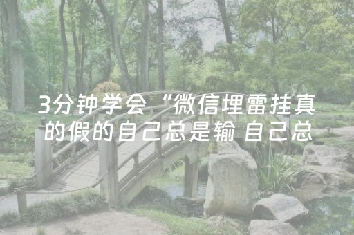 3分钟学会“微信埋雷挂真的假的自己总是输 自己总是输”（详细透视教程）-哔哩哔哩