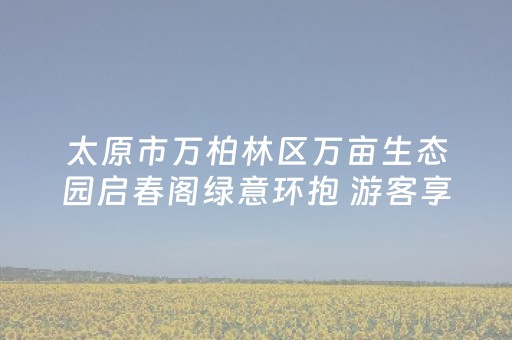 神器好用到爆!雀神麻将小程序输赢规律(如何能得到好牌)
