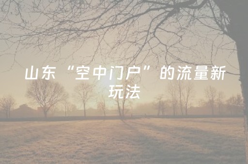 超炫软件神器哦!微乐浙江麻将攻略插件(赢牌技巧插件安装)