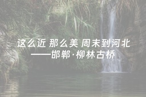 神器实力强劲!闲来陕西麻将输赢有什么规律(怎么设置胡牌)