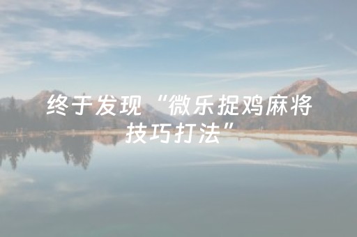 终于发现“微乐捉鸡麻将技巧打法”（详细透视教程）-哔哩哔哩