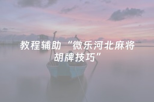 教程辅助“微乐河北麻将胡牌技巧”（详细透视教程）-哔哩哔哩