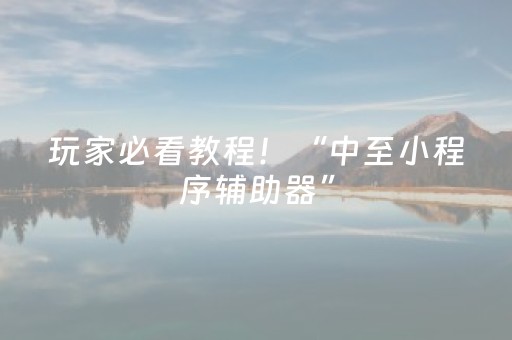 玩家必看教程！“中至小程序辅助器”（详细开挂教程）-哔哩哔哩