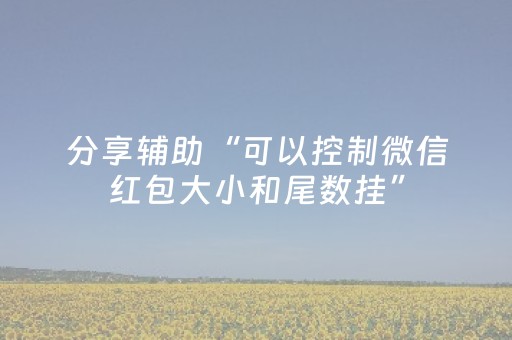 分享辅助“可以控制微信红包大小和尾数挂”（详细透视教程）-哔哩哔哩