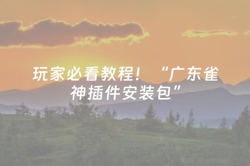 玩家必看教程！“广东雀神插件安装包”（详细辅助教程）-哔哩哔哩