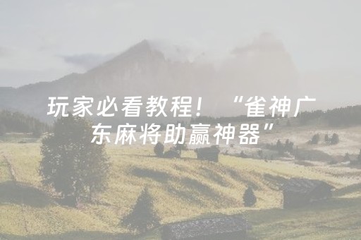 玩家必看教程！“雀神广东麻将助赢神器”（详细辅助教程）-哔哩哔哩