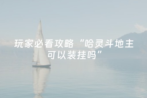 玩家必看攻略“哈灵斗地主可以装挂吗”（详细透视教程）-哔哩哔哩