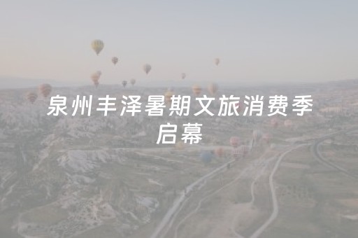 神器惊艳四座!旺旺福建麻将插件(AI辅助胡牌规则)
