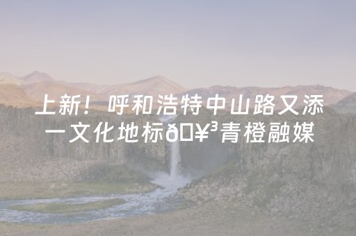 软件神器超闪!手机金花辅助器通用版(为什么有人一直赢)