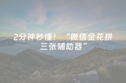 2分钟秒懂！“微信金花拼三张辅助器”（详细辅助教程）-哔哩哔哩