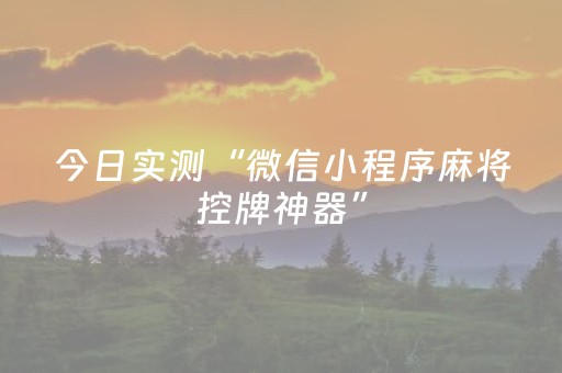 今日实测“微信小程序麻将控牌神器”（详细开挂教程）-哔哩哔哩