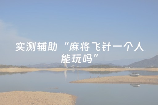 实测辅助“麻将飞针一个人能玩吗”（详细透视教程）-哔哩哔哩