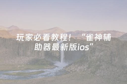 玩家必看教程！“雀神辅助器最新版ios”（详细开挂教程）-哔哩哔哩