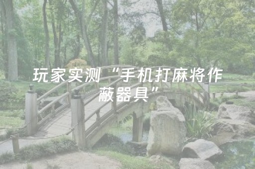 玩家实测“手机打麻将作蔽器具”（详细透视教程）-哔哩哔哩