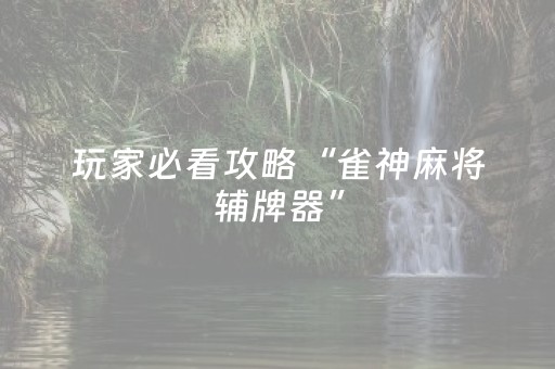 玩家必看攻略“雀神麻将辅牌器”（详细透视教程）-哔哩哔哩