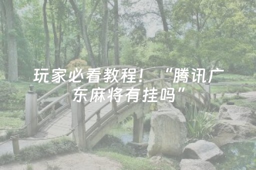 玩家必看教程！“腾讯广东麻将有挂吗”（详细开挂教程）-哔哩哔哩