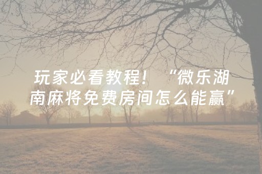 玩家必看教程！“微乐湖南麻将免费房间怎么能赢”（详细开挂教程）-哔哩哔哩