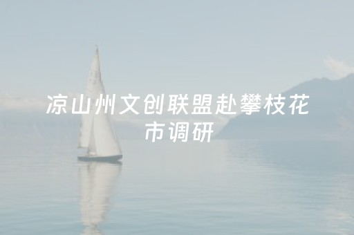 凉山州文创联盟赴攀枝花市调研