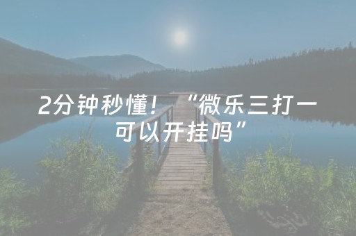 2分钟秒懂！“微乐三打一可以开挂吗”（详细辅助教程）-哔哩哔哩