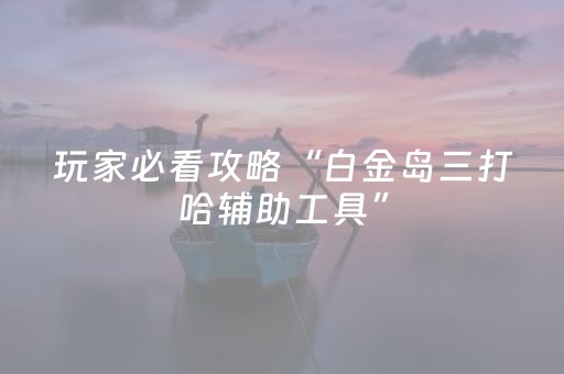 玩家必看攻略“白金岛三打哈辅助工具”（详细透视教程）-哔哩哔哩